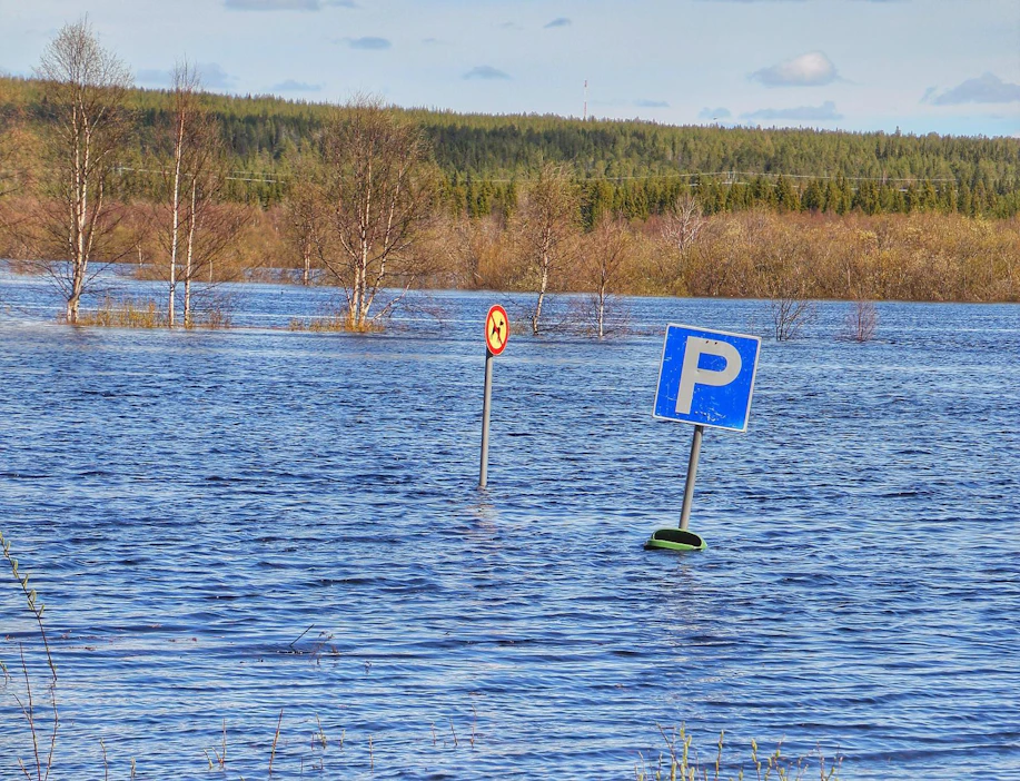 Koirien tuonti Ylikylän uimapaikan pysäköintialueelle on kiellettyä, joskin myös mahdotonta.