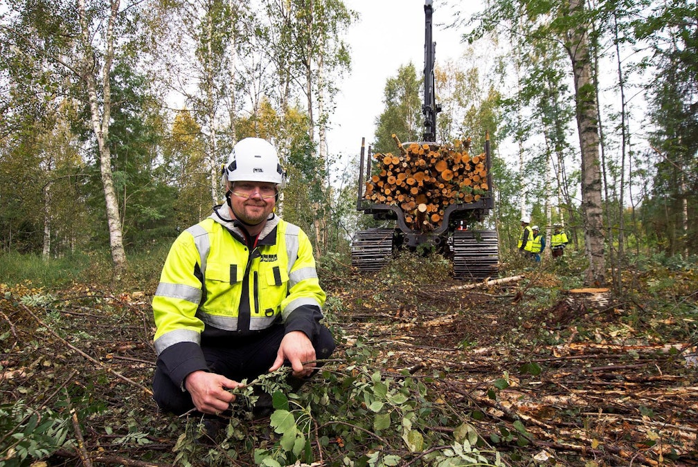 Metsä Group suosittelee avohakkuiden välttämistä turvemailla, korjuumääriä  nostetaan pohjoisessa: 