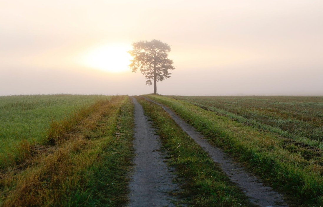 Yhdysvaltalaisen indeksin mukaan Suomi on puhtain ja vehrein maa.