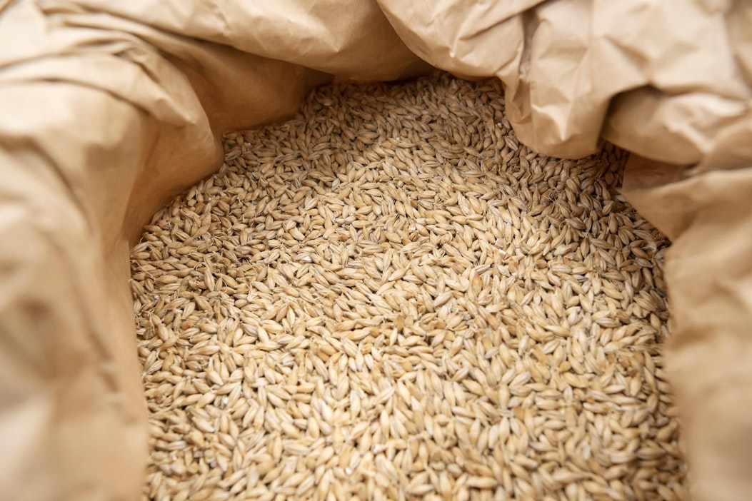 Luomuviljelyyn on vuodesta 2035 lähtien käytettävä vain luomusiementä.