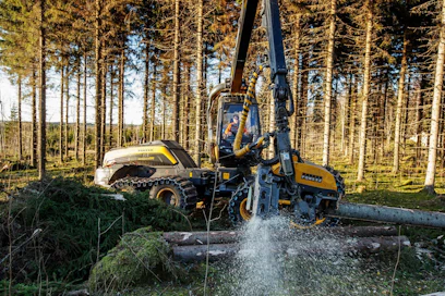 Metsäkoneenkuljettajia valmistuu vuosittain noin 400. Valtaosa heistä on käynyt metsäkoneenkuljettajan kolmivuotisen perustutkinnon.