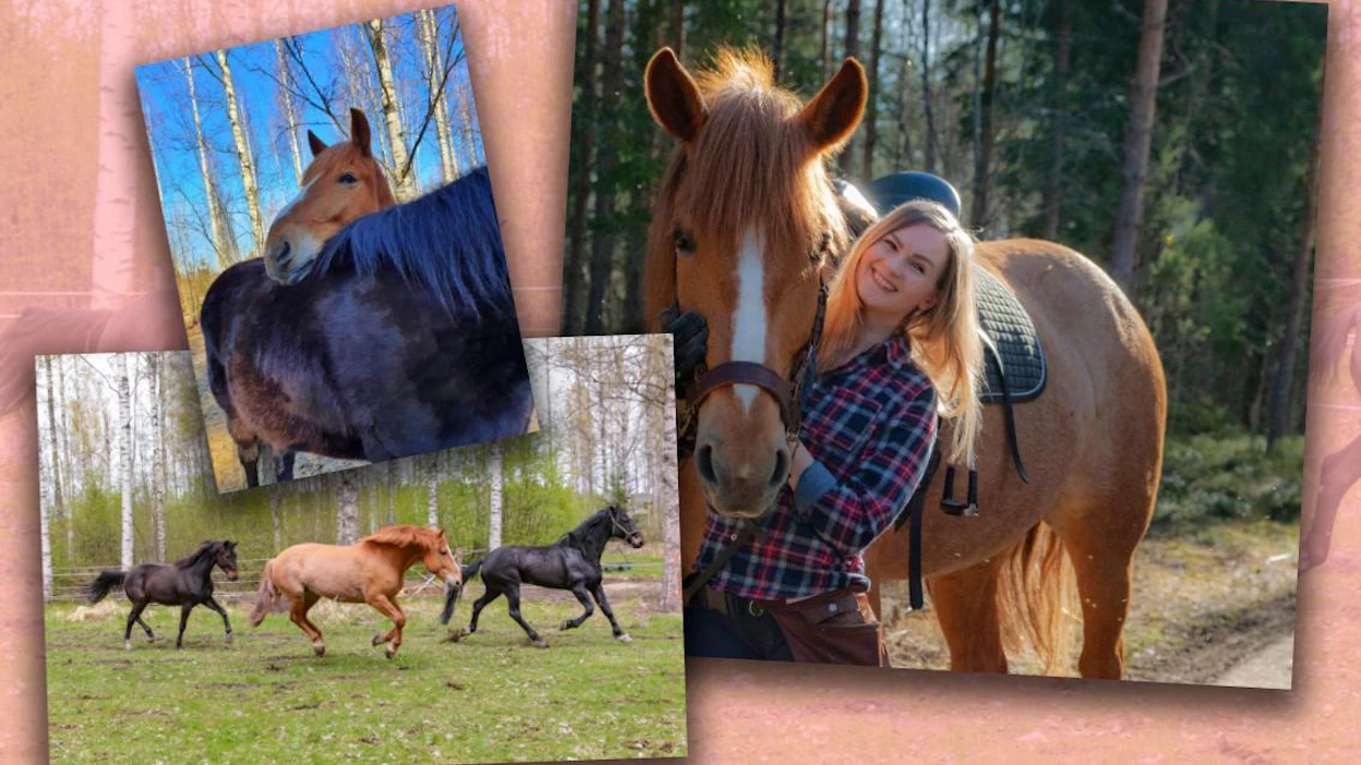 "Hevosen pitää tuntea, että ihmisen kanssa on turvallista olla. Jos hevonen pelkää liikaa jotain esimerkiksi postilaatikkoa, on hyvä tulla selästä hevosen rinnalle sen ja pelon kohteen väliin", Kaktu Kuparinen havainnollistaa oppimista. Hänen hevosensa Sapriina ja Dino asuvat yhdessä pihatossa. Juoksukuvassa mukana kirmaa vielä Repe, joka jouduttiin lopettamaan heinäkuun lopussa.