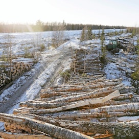 Suomi on alakynnessä lulucf-metsälaissa: se toivoisi enemmän hakkuuoikeuksia, mutta Viro ei halua joustaa.