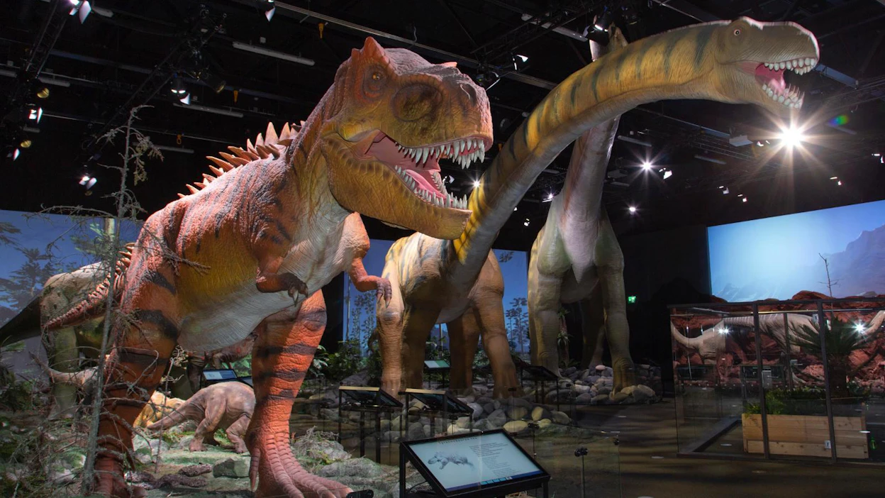 Näyttelyn kiinnostavimpiin otuksiin kuulunee järeä Tyrannosaurus rex, joka eli 67 miljoonaa vuotta sitten ja kehittyi luultavasti linnusta. Se söi lihaa, kuuli ja näki tarkasti, oli 12 metriä pitkä ja painoi kuusi tonnia.