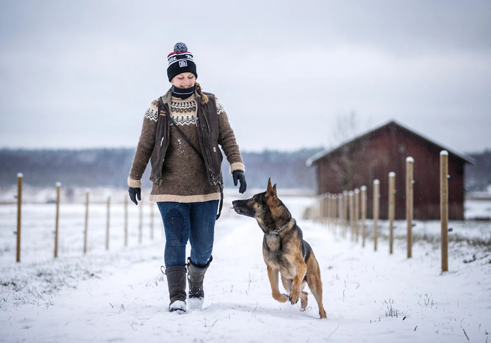 Susanna Valtonen kutsuu tilalle koululaisia ja muita vieraita. ”Meillä vieraili myös neljä kansanedustajaa ja maakuntajohtaja katsomassa lehmiä ja pohtimassa nurmikeskustelua. He olivat hyvin vastaanottavaisia, mutta on eri asia kun tehdään päätöksiä”, hän pohtii tilan tulilla Simo-koiran kanssa.