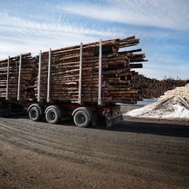 Alkuvuonna Metsäteollisuus ry:n jäsenyritykset ovat ostaneet puuta yksityismetsistä 29 prosenttia enemmän kuin viime vuonna tähän aikaan.