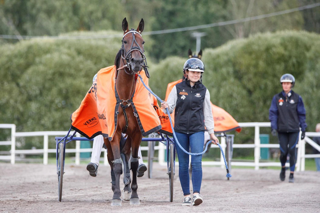 Jenina Hamari on hoidettavansa Magical Princessin kanssa jälleen kisahommissa lauantaina. Derbyvoittajan ensimmäinen isompi tähtäin on Pekka Korven mukaan vappuna, kun Vermossa kisataan Arvid Åvallin tammaderbyssä.
