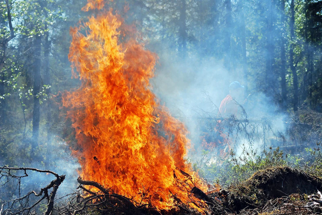Pohjois-Karjalassa on tällä hetkellä voimassa metsäpalovaroitus. Kuvituskuva.