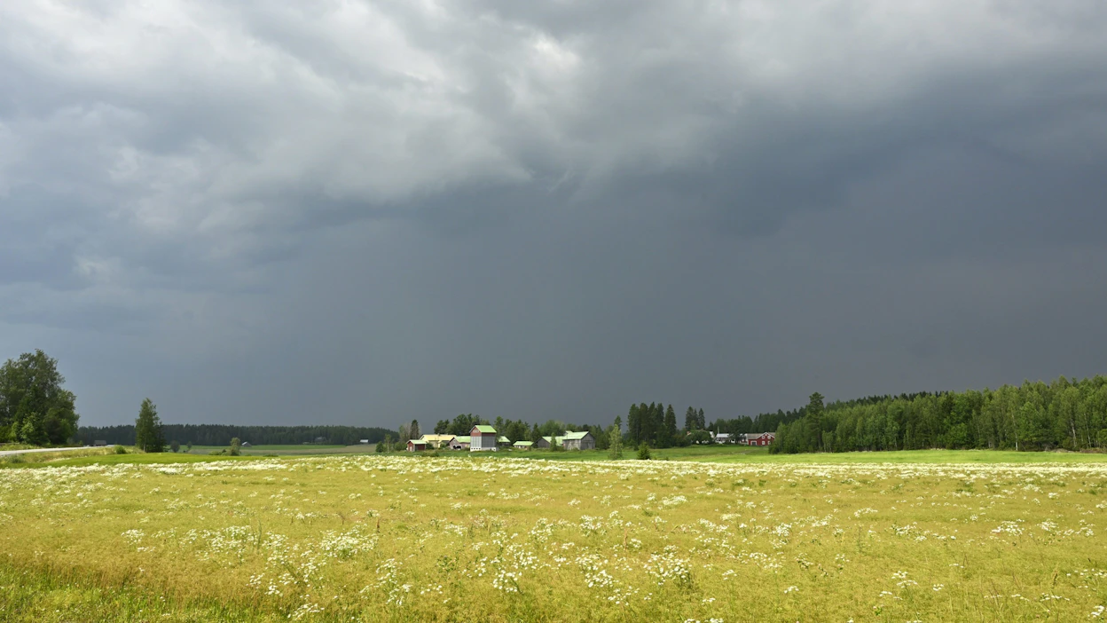Tänä vuonna toukokuussa ei ollut yhtään hellepäivää ja kesäkuussakin vain kaksi. LEHTIKUVA / RONI REKOMAA.