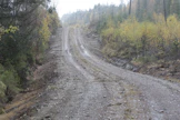 Metsätalouden tarvitseman tieverkoston tuki säilyy uudessa Metka-järjestelmässä.