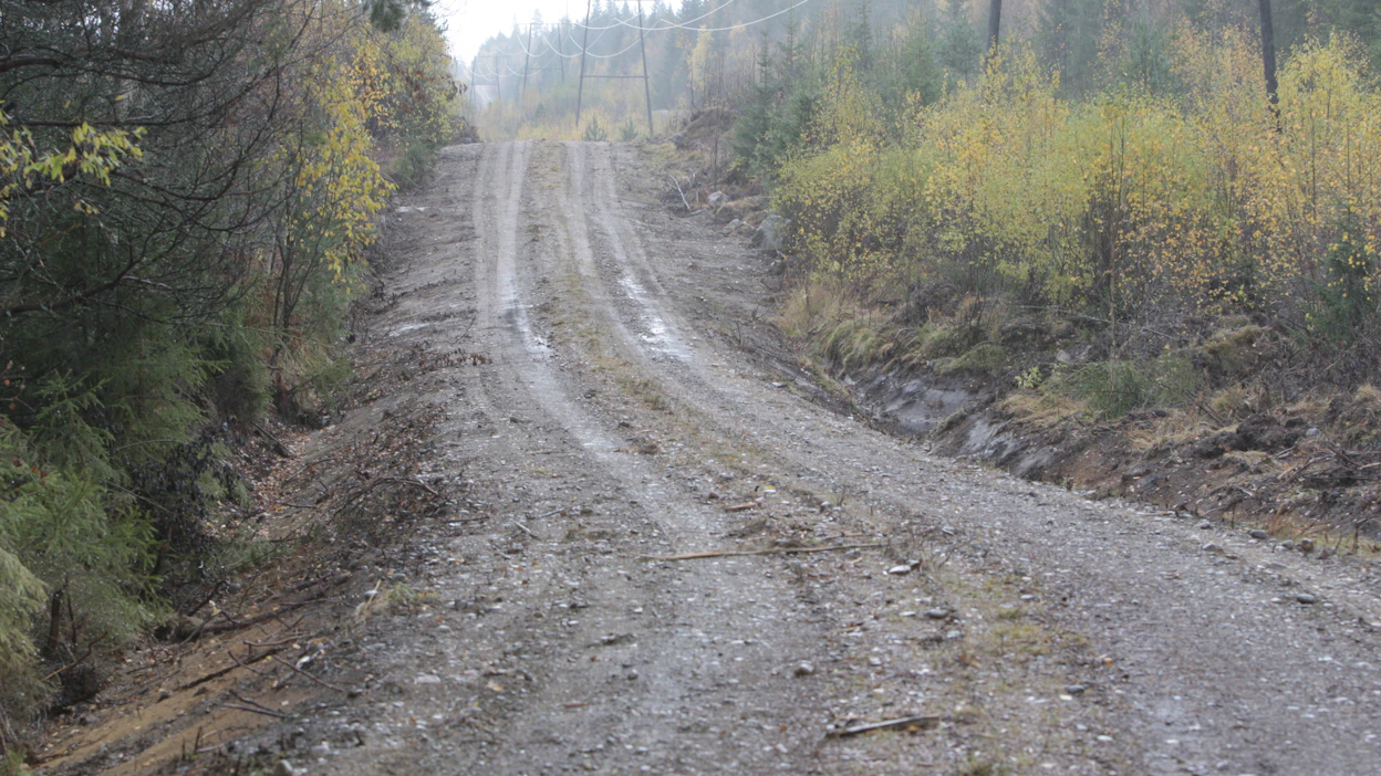 Metsätalouden tarvitseman tieverkoston tuki säilyy uudessa Metka-järjestelmässä.