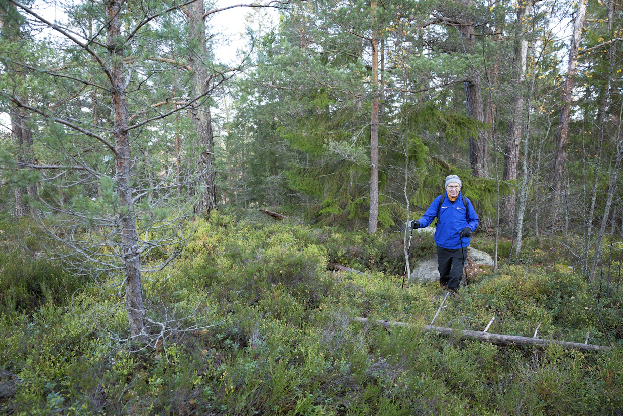 Liikunta onnistuu, kun siitä tehdään rutiini. ”Minulla se on tunnin lenkki joka päivä. Se on minun tavoitteeni, ja sen pystyn täyttämään.”