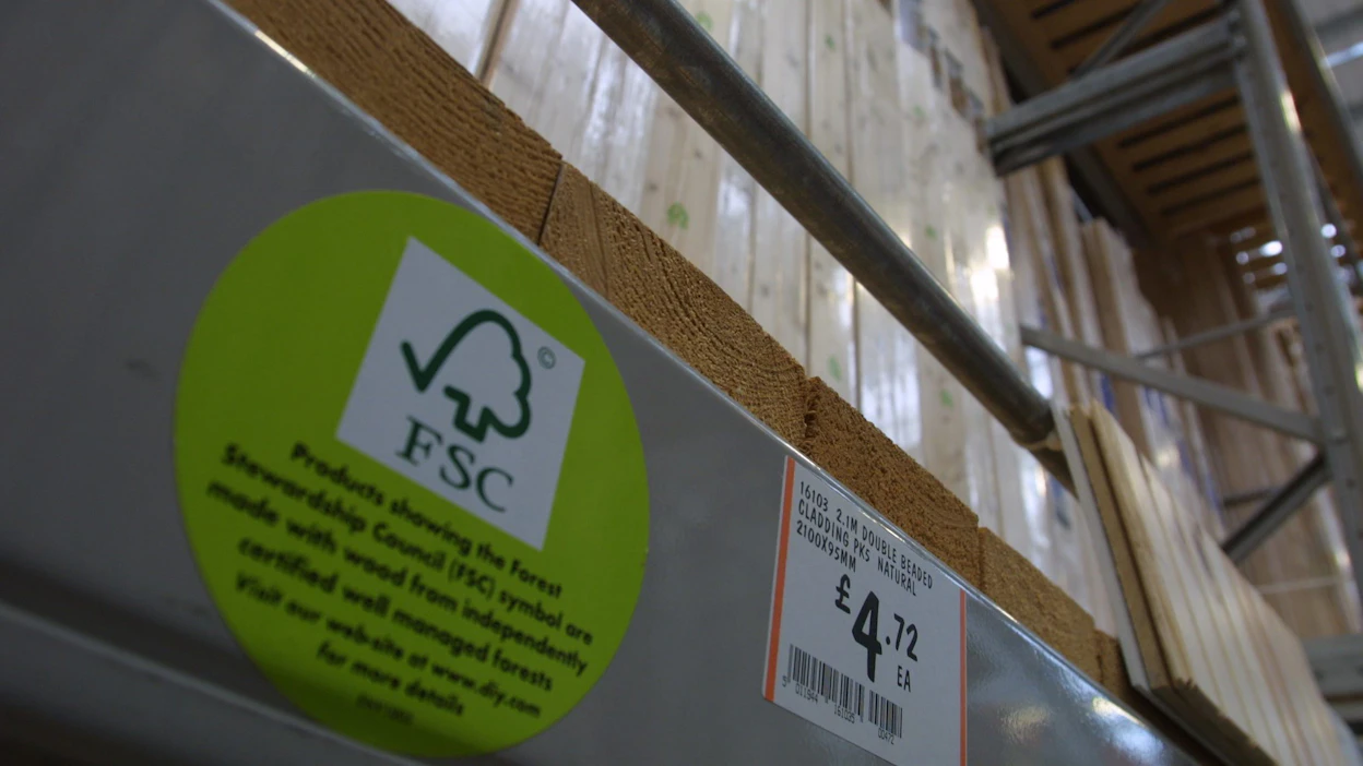 Kiinalaisyrityksiä syytetään muun muassa koivuvanerin myynnistä tai ostosta väärillä FSC-väittämillä. Kuvituskuva.