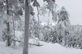 Maan eteläosan itäisimmissä kolkissa satelee ajoittain kevyttä pakkaslunta.