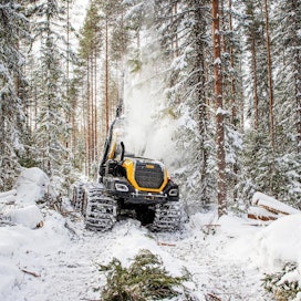 &quot;Suomella on kestävällä tavalla hoidettua metsää eli uusiutuvaa raaka-ainetta, josta ammentaa hyvinvointia nyt ja uusien innovaatioiden myötä myös tulevaisuudessa.&quot;