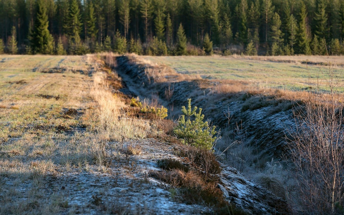 Turvemaa raivaus pelloksi vaikeuttaa Suomen ilmastotavoitteiden saavuttamisen.