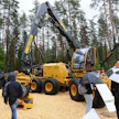 Kun Tigercat 1185 -harvesteri ensiesiteltiin Elmia Wood 2017 -näyttelyssä, moni hämmästyi konetta, eikä pelkän suuren koon vuoksi. Uutuus on hyvin kilpailukykyinen eurooppalaisiin kilpailijoihin nähden. 25 vuotta koneita valmistanut Tigercat on tulossa vahvasti Euroopan markkinoille.