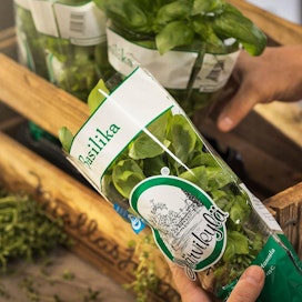 Kirkas, puupohjainen Woodly®-pakkausmateriaali voitti Uusi puu -kilpailun. Welmu International lanseeraa vuoden 2019 aikana yrttien ja salaattien kelmupakkauksen, jossa innovaatiota hyödynnetään.
