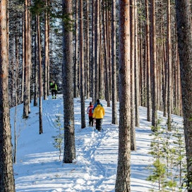Joutsassa sijaitsevasta Leivonmäen kansallispuistosta löytyy talvisin sekä kävelyyn että hiihtämiseen sopivia reittejä, joiden varrella pääsee ihailemaan puiston suo- ja harjumaastoa.