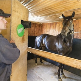Ravivalmentaja Matti Nisonen käyttää suolahuonetta hevosillaan säännöllisesti pari kertaa viikossa. Starttikaudella oleva Biodiesel käy hoidossa vähän tiheämminkin. Markku Vuorikari