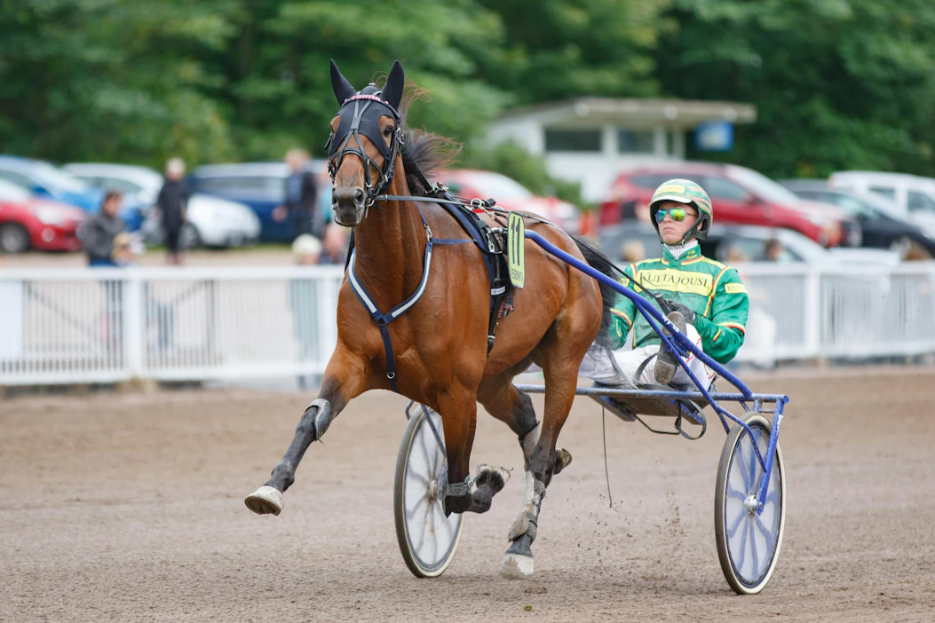 She Rains, 5, joutuu jättämään kilparadat ja siitostamman elämä odottaa. Uran varrella rattailla istui usein Jukka Torvinen.