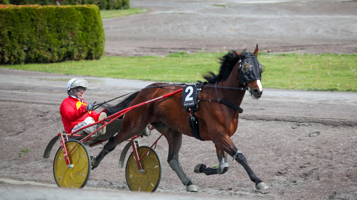 Jorma Kontio ajoi Disco Volantea Elitloppetissa, mutta St Micheliin Stefan Melander joutui etsimään sille toisen kuskin. Kontio ajaa samaan aikaan Hankypanky Rubyrediä Axevallan Stochampionatissa. Kevin Oscarsson ajaa Discoa pyhänä.