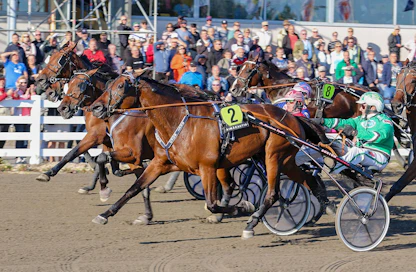 Bret Boko puristi tasaisesta rintamasta uransa 45. täysosumaan. Kymppitonnin arvoinen finaalivoitto oli ruunan arvokkain sitten vuoden 2015 Finlandia-Ajon voiton.