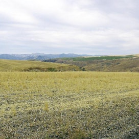 Cascade-vuoriston itäpuolella avautuvat laajat viljelyaukeat, joiden vuotuinen sademäärä on tärkein viljelyä rajoittava tekijä.  Maarit Kari