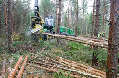 Suunnitellun tehtaan pääraaka-aine olisi havukuitupuu.