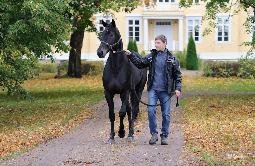 Kriterium-voittaja Run For Royaltylle on luvassa paljon uusia sisaruksia Suomeen.