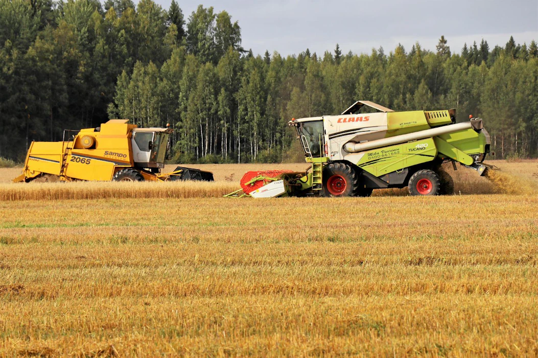 Esimerkiksi Etelä-Pohjanmaalla syysviljoista on enää rippeet puimatta. Kuvassa puidaan Jalasjärvellä.