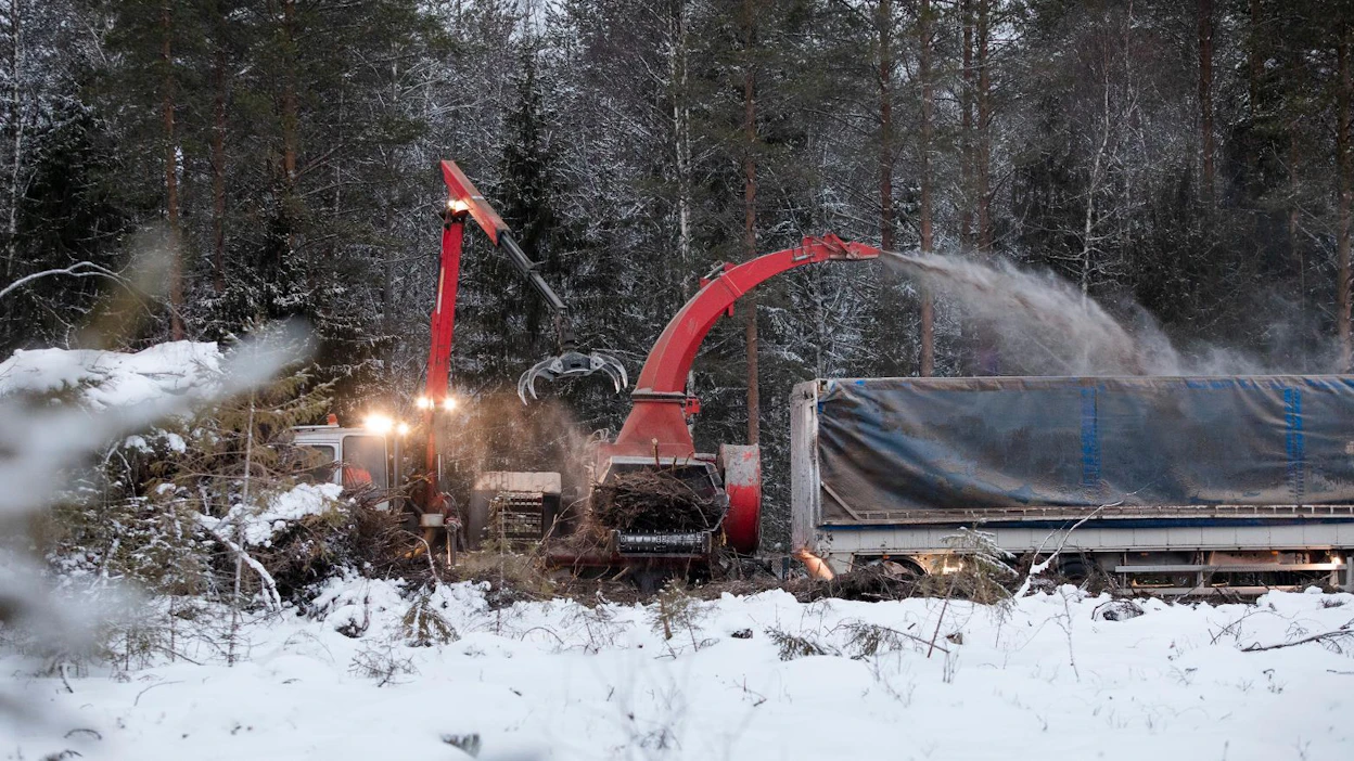 Pienpuun keruutuen poisto ensi tukikaudella heikentäisi energia-alan järjestöjen mukaan ratkaisevasti kotimaisen pienpuun kilpailukykyä.