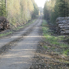 Metsähallitus saattaa sulkea metsäautoteitään, jos autolla kanalintuja jahtaavia ihmisiä ei saada kuriin.