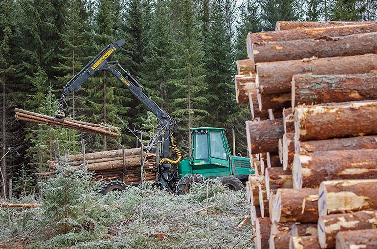 Matti Nikkilä muistuttaa, että Suomella on metsissä valtava valtavan kokoinen pääoma.