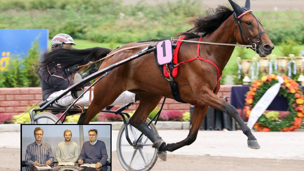 T65-kierroksen pankki Callela Eliza kelpaa koko studiojoukkueelle varmaksi.