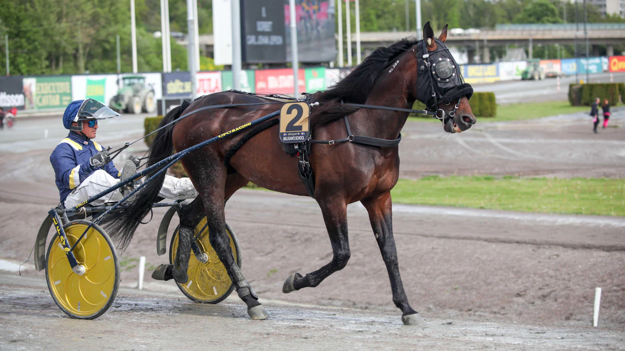 Stefan Melanderin suojatti Milligan's School on Bergsåkerin suuripalkintoisimman lähdön Sundsvall Open Trotin kaksinkertainen voittaja. Tänään se vei nimiinsä Bergsåkerin uuden suurkilpailun Bergsåker Winter Trot -lähdön. Arkistokuva.
