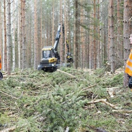 Metsänomistajat Kari ja Asko Pulkkinen suhtautuvat ensiharvennukseen kuin sijoitukseen. Stora Enson Jussi Rossi tietää, että kaikkia metsänomistajia kuitupuun hinta ei miellytä.