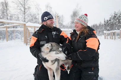 Janne ja Johanna Määttä muuttivat seitsemän vuotta sitten Oulusta Pudasjärvelle koiravaljakkoyrittäjiksi.