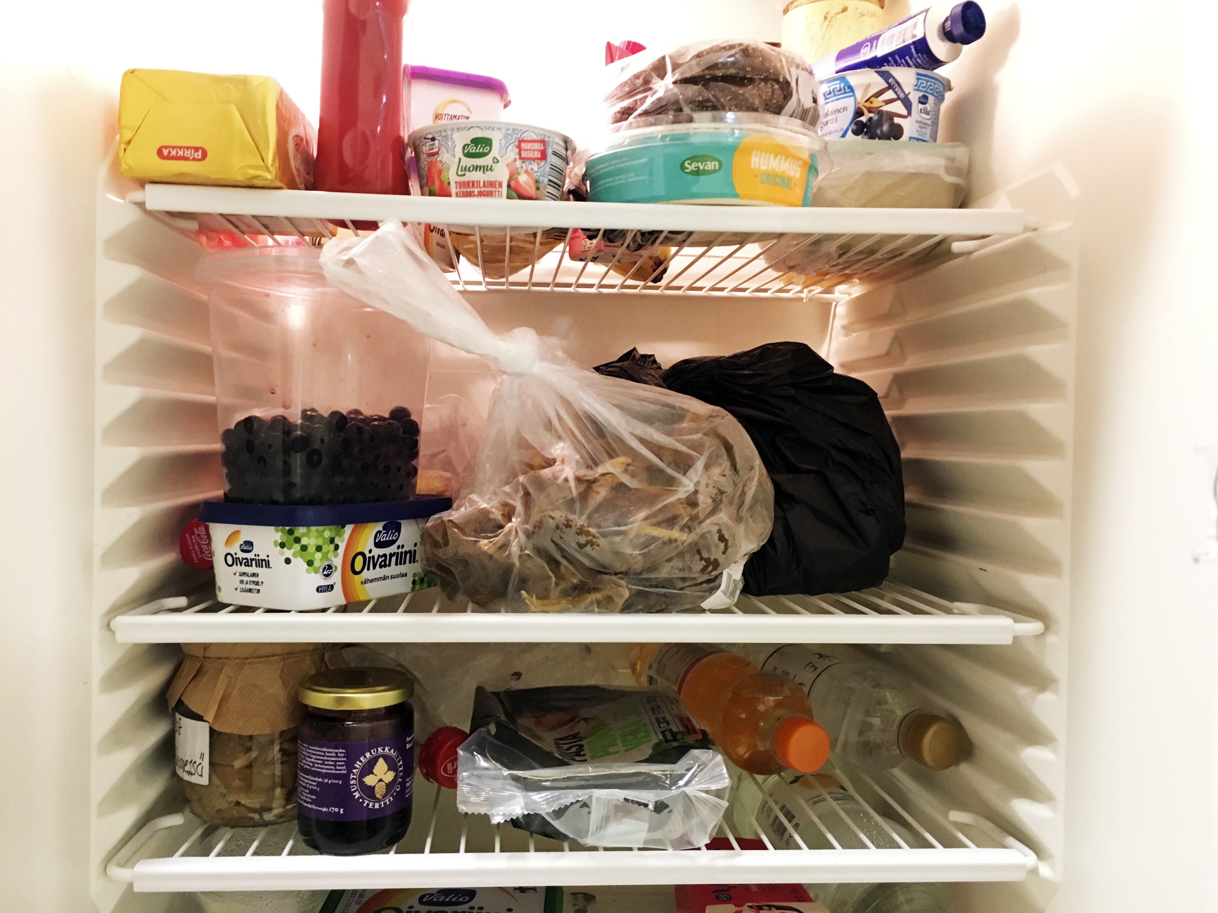 Jääkaapin perinpohjaisella koluamisen jälkeen ruuat pysyvät hetken järjestyksessä.