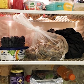 Jääkaapin perinpohjaisella koluamisen jälkeen ruuat pysyvät hetken järjestyksessä.