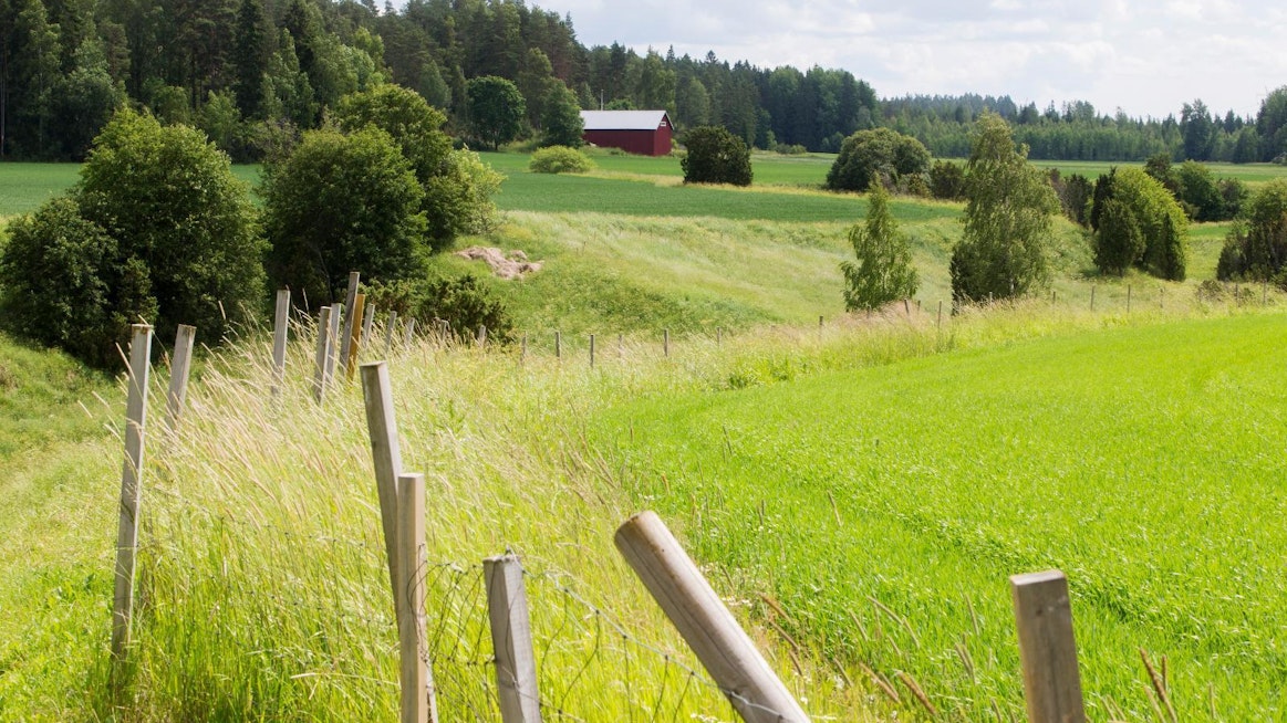 Maaseutuparlamentti 2020 kokoaa kaikki maaseudun mahdollisuuksista innostuneet ja kiinnostuneet yhteen miettimään maaseudulla syntyviä ja siellä toimivia kestäviä ratkaisuja lokakuun 2020 alussa.