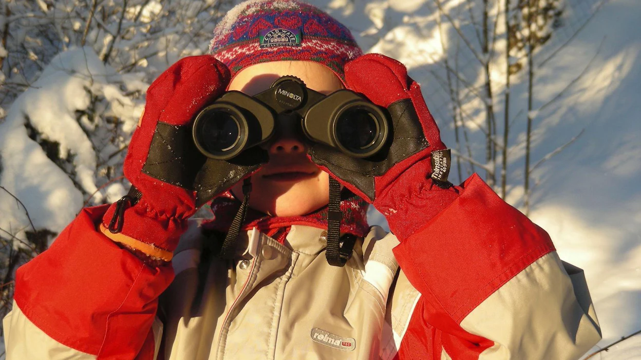 Pihabongaukseen voi osallistua vielä perjantaihin saakka. Lintujen tarkkailusta on iloa koko perheelle.