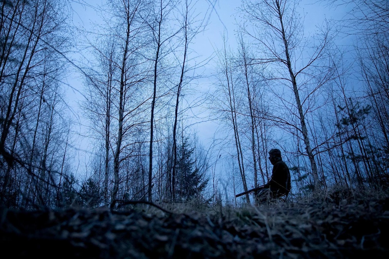 Majavan kyttäys jatkuu pitkälle yöhön, mutta lattahäntä pysyy piilossa.