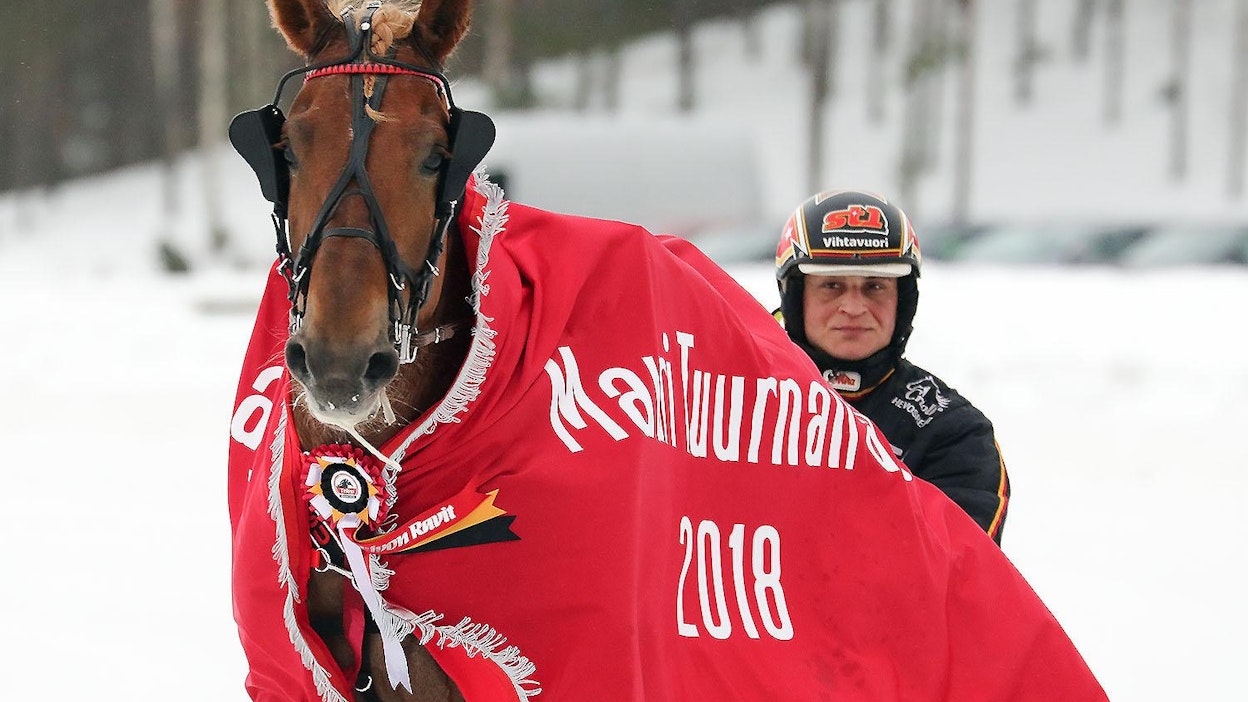 Kautensa kymppitonnin arvoisella voitolla Mauri Tuurnan Ajossa loittanut Ellin Sisu on Porin T76-kierroksen pelatuin hevonen.