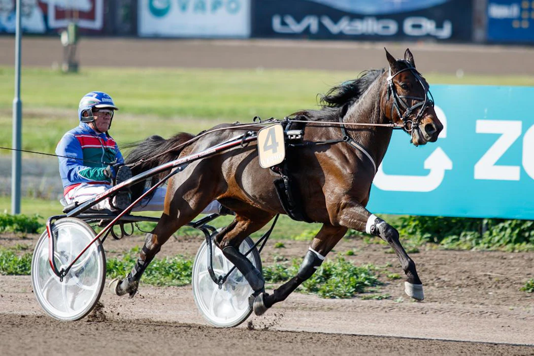 Derbykakkonen 2019 Knows Best joutui jäämään illan Teivosta pois, mutta onneksi kyseessä ei ollut mitään kovin vakavaa ongelmaa.