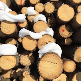 Kuvan kuitupuupinoon on eksynyt tukkikokoista puutavaraa.