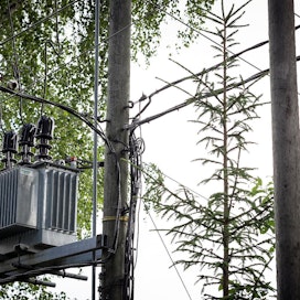 Carunan sähköverkko ja muuntaja ovat jäämässä metsän sisään Vihdissä.