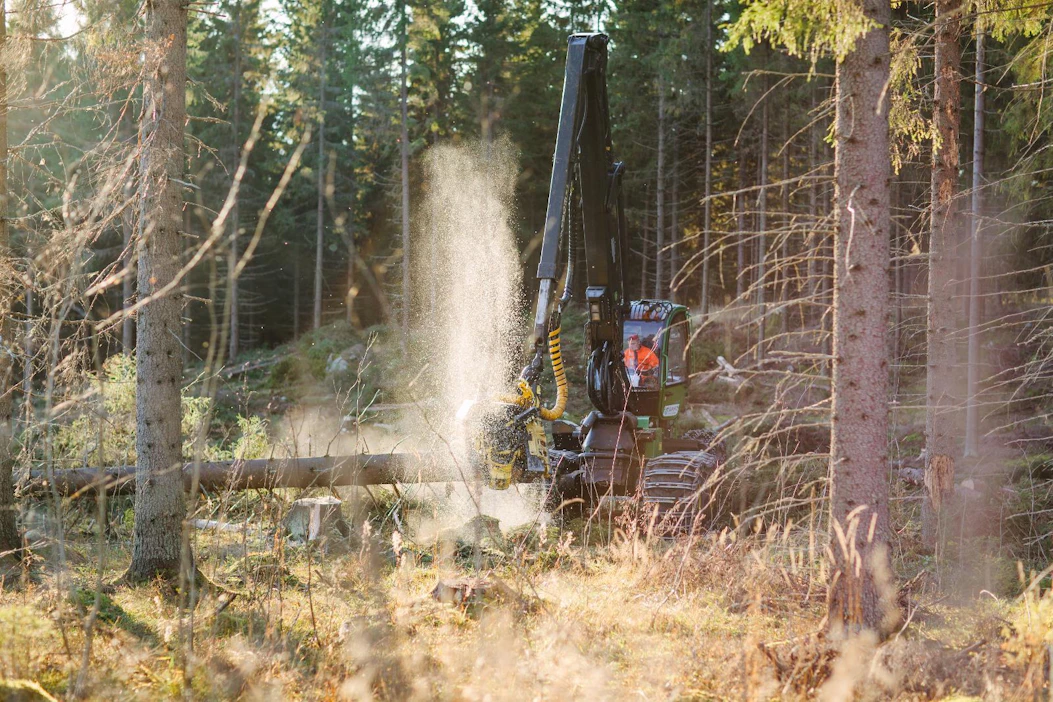 Metsäkoneenkuljettajan ammattitaidolla on harvennuksissa suuri merkitys.