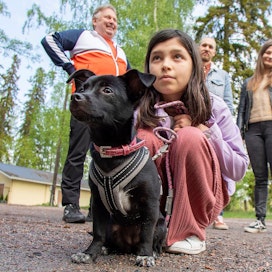 Tommy Wirén (vasemmalla) on mukana asiantuntijana uudessa Koti koiralle -ohjelmassa. Hänen mukaansa koirasta luopumiseen suhtaudutaan Suomessa liiankin ankarasti. Kuvassa Tommy Wirén (vas), Sanna Huttu, Niko Virta ja Melissa Rytöhonka. Edessä Mila-koira.