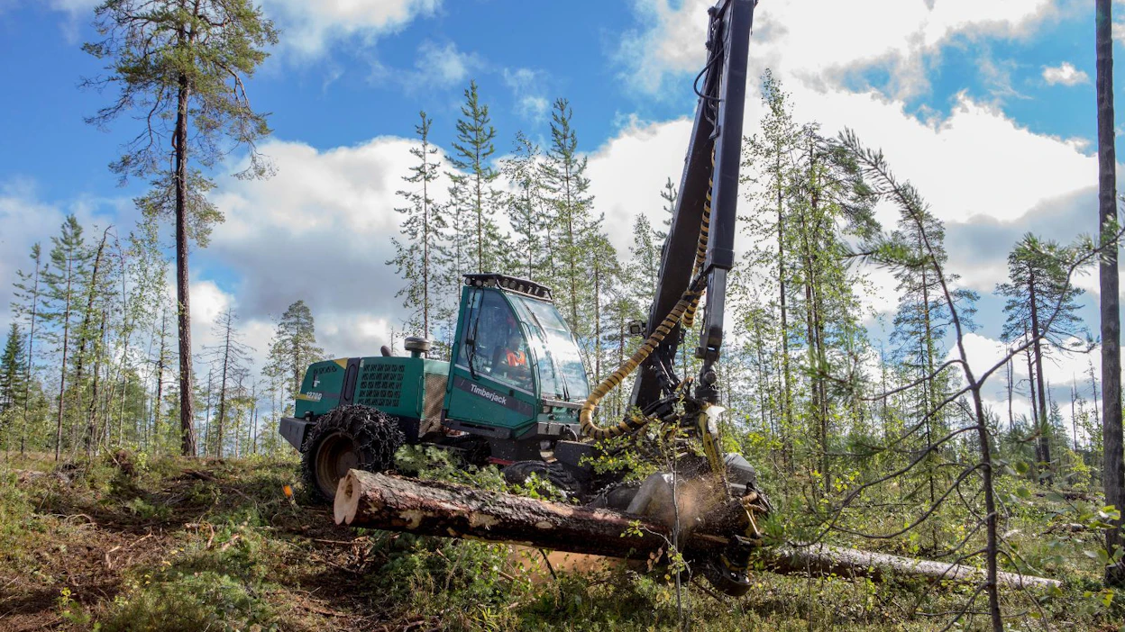 Havupuuvaltaiset leimikot käyvät Venäjällä yhä harvinaisemmiksi ja niitä joudutaan hakemaan yhä kauempaa teollisuuslaitoksista.